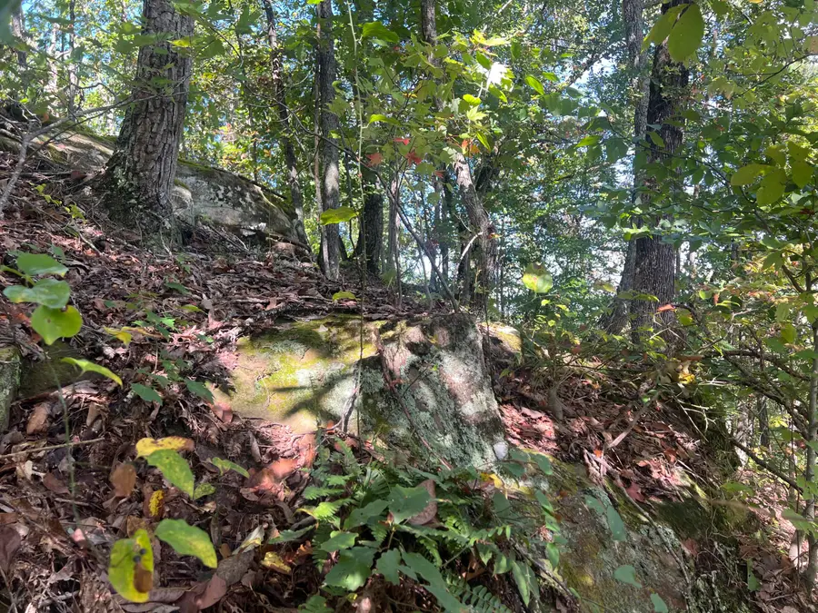 9999 Russell Cemetery Road, Salyersville, KY 41465 - Image #3