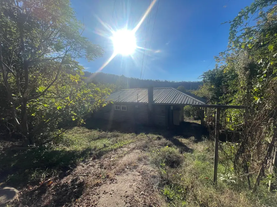 44 Hale Lane, Loyall, KY 40854 - Image #2