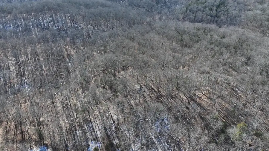 9999 Josephine Road, Sadieville, KY 40370 - #3