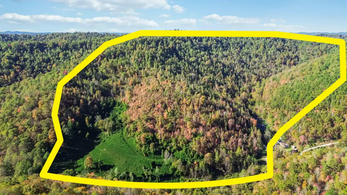 184 Ancient Springs Drive, Hinkle, KY 40953 - Image #1