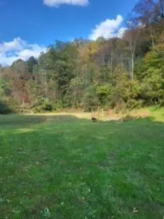 2810 Ogden Vest Road, Hindman, KY 41822 - Image #3