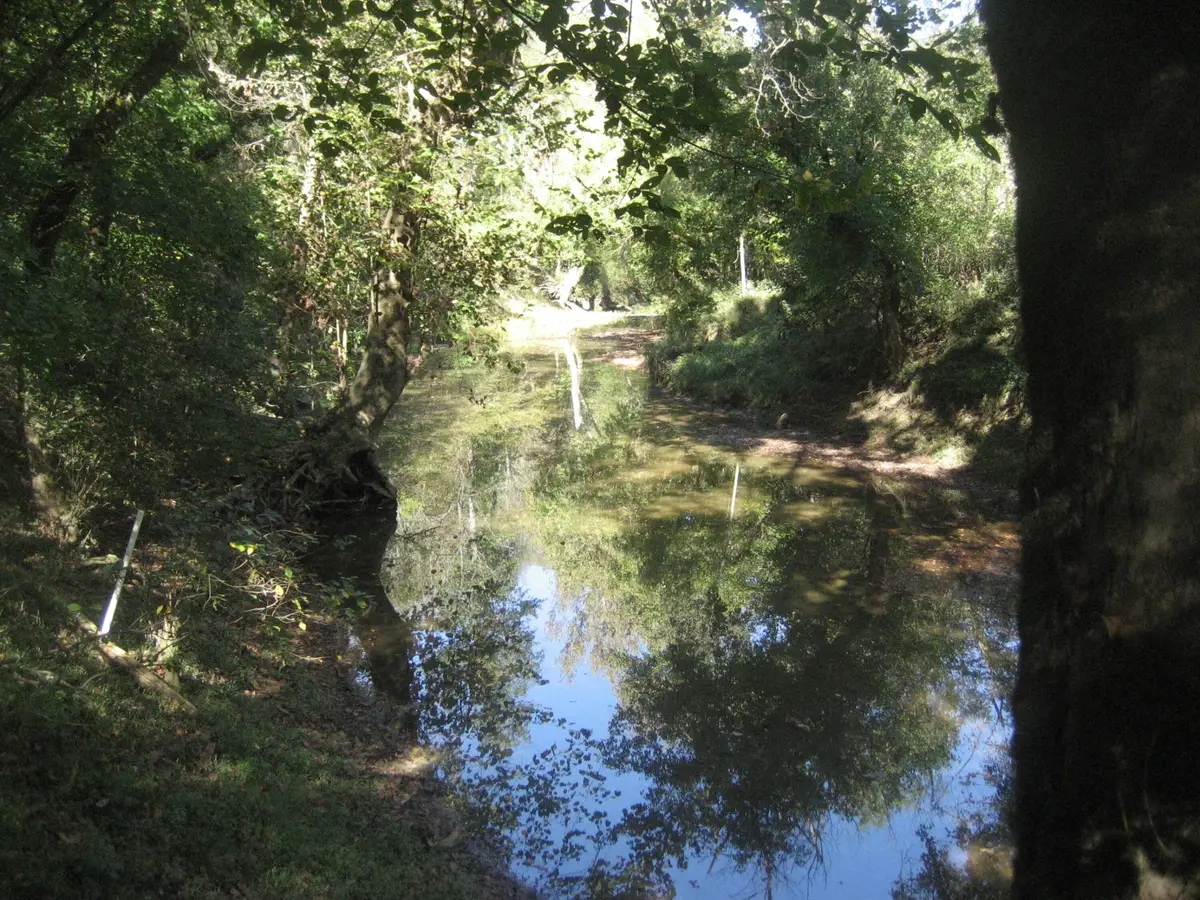 901 Hayden Brothers Lane, Springfield, KY 40069 - Image #1