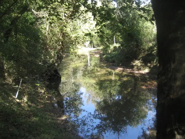 901 Hayden Brothers Lane, Springfield, KY 40069