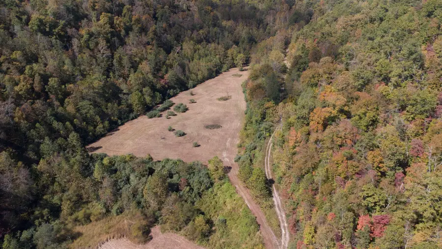 200 Brady Cline Drive, Inez, KY 41224 - Image #3