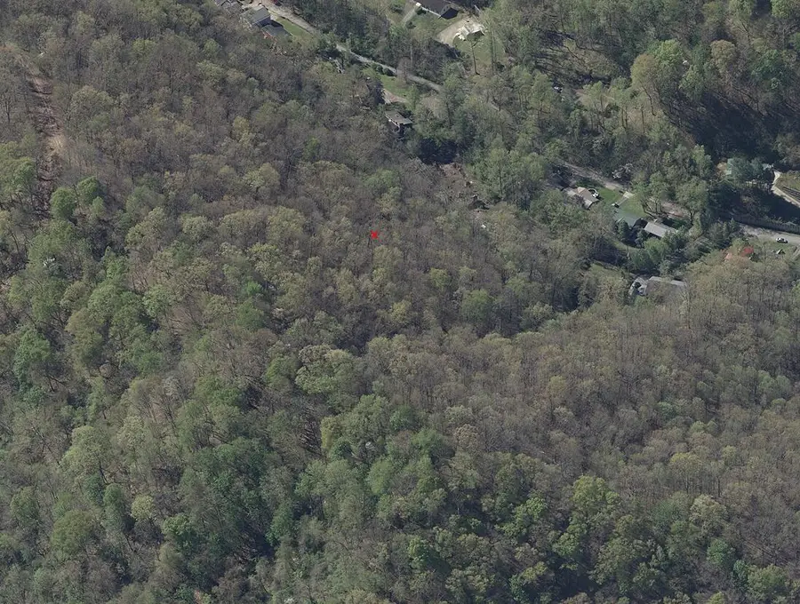 519 Happy Valley Road, South Williamson, KY 41503 - Image #3