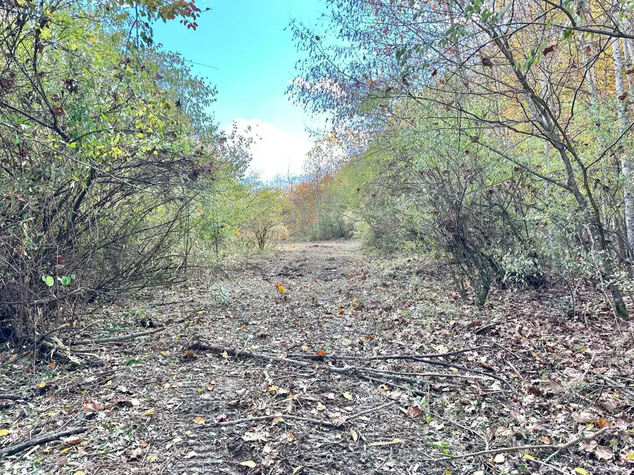 379A Highway 1690, Louisa, KY 41230 - Image #3