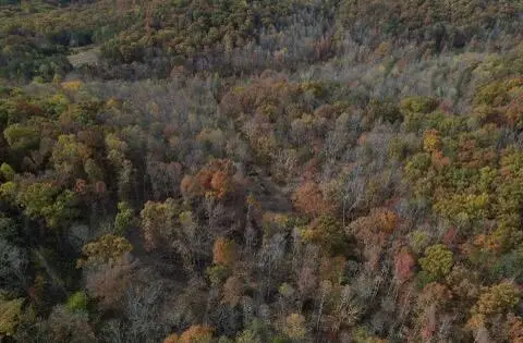 2159 Narrow Gap Road, Crab Orchard, KY 40419 - Image #3