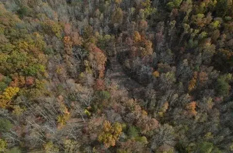 2159 Narrow Gap Road, Crab Orchard, KY 40419 - Image #1