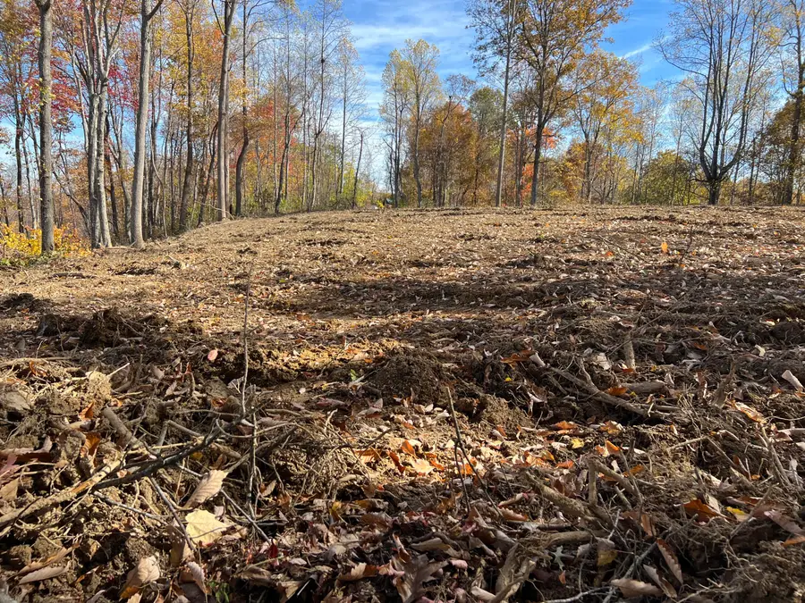 1111 Bridge Rock Road, McKee, KY 40447 - Image #2