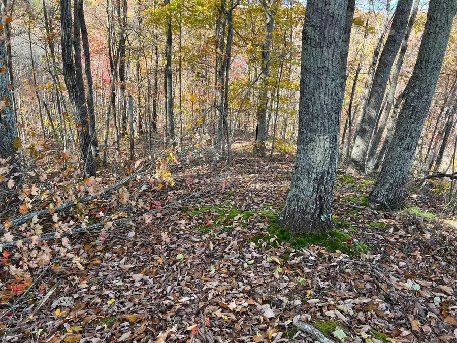 1111 Bridge Rock Road, McKee, KY 40447 - Image #3