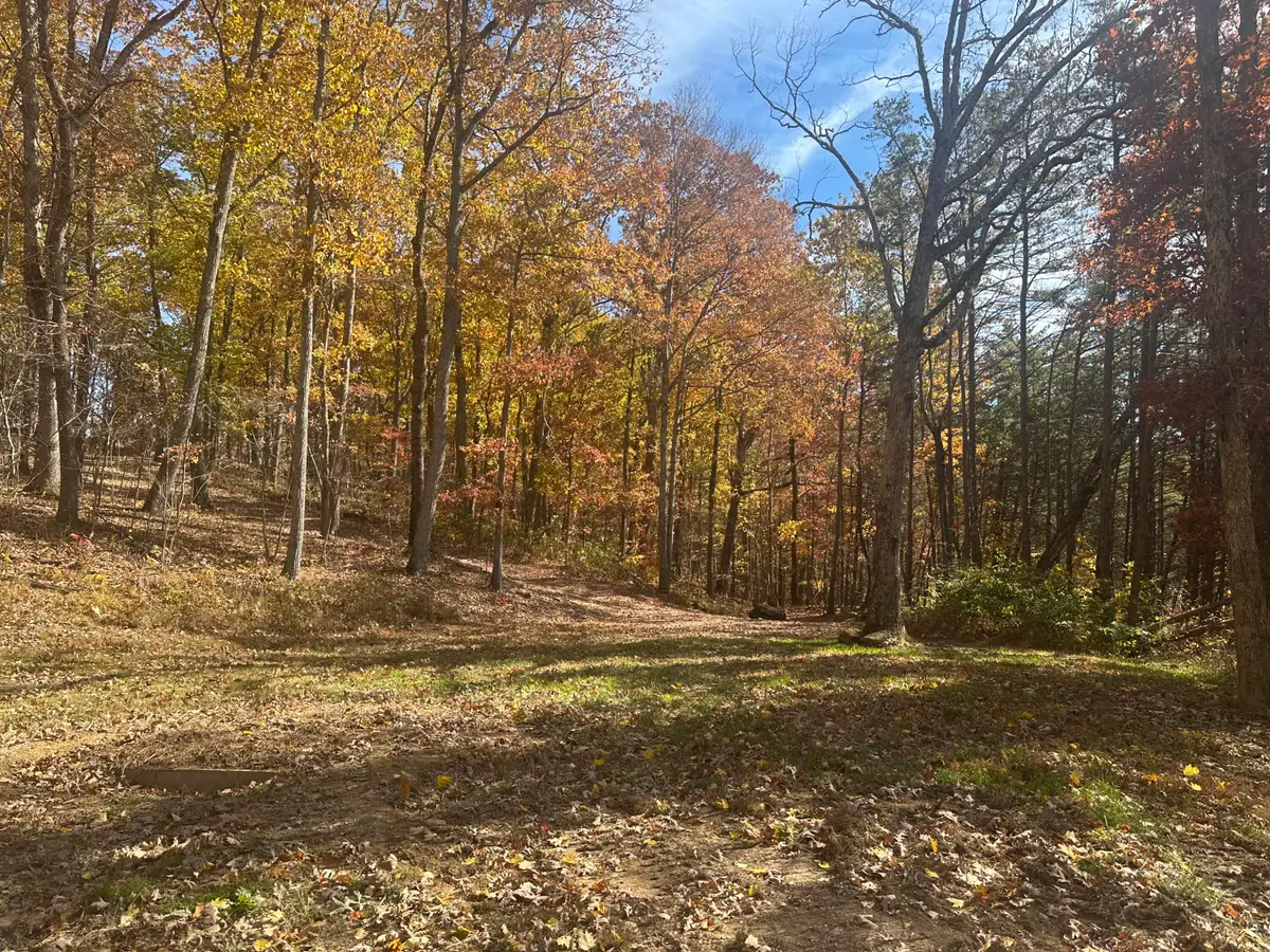 249. Tract C Freeman Branch Road, East Bernstadt, KY 40729 - Image #1