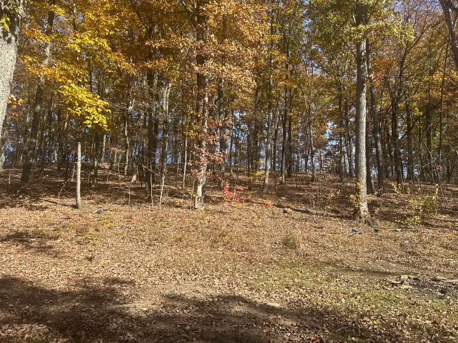 249. Tract C Freeman Branch Road, East Bernstadt, KY 40729 - Image #3