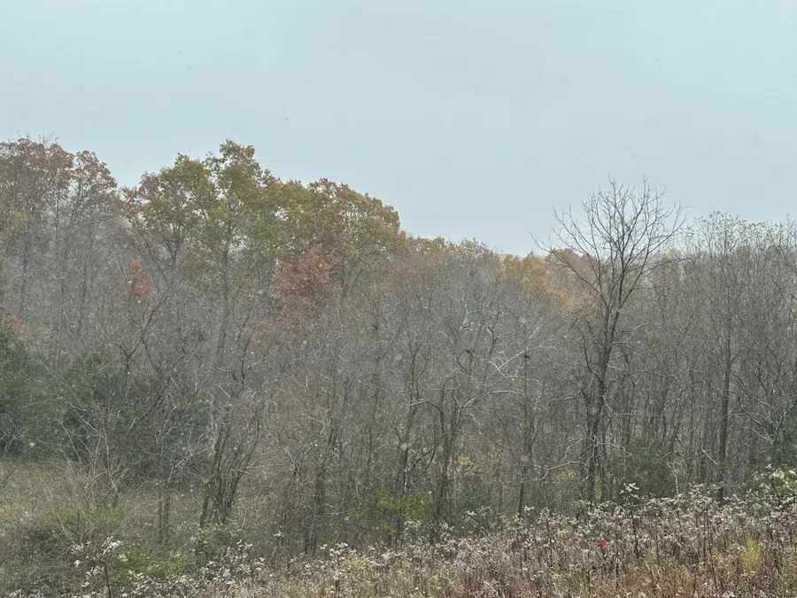 527 South Dividing Ridge Road, Sadieville, KY 40370 - Image #3