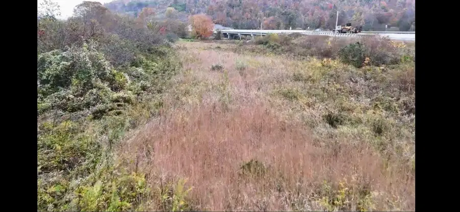 3988 Ky-592, Pine Knot, KY 42635 - Image #3