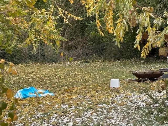 507 Hillsdale Avenue, Richmond, KY 40475 - Image #3