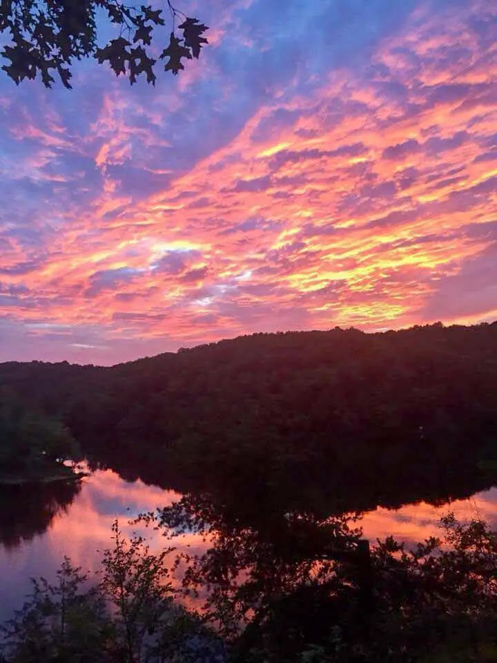 237 Mockingbird Trail, Lewisburg, KY 42256 - Image #2