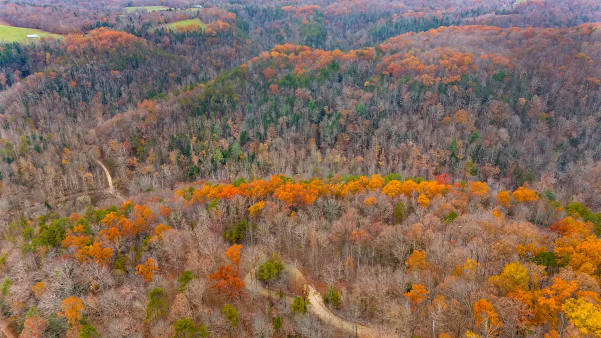 Lot 18 Sunrise Mountain Retreat, Beattyville, KY 41311 - Image #1