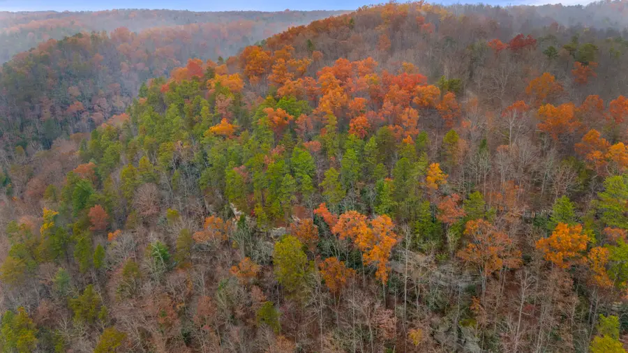 Lot 18 Sunrise Mountain Retreat, Beattyville, KY 41311 - Image #2