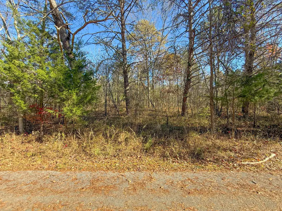 Lot 179 Genes Road, Somerset, KY 42501 - Image #3