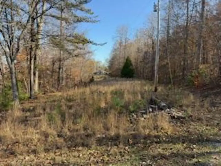 273 S Burke Road, Monticello, KY 42633 - Image #3