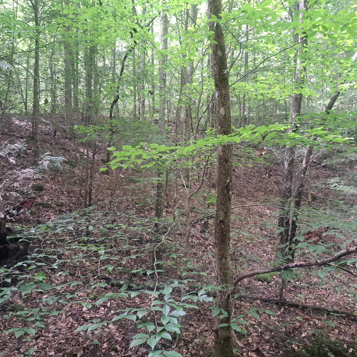 8100 Somerset Road, London, KY 40741 - Image #1