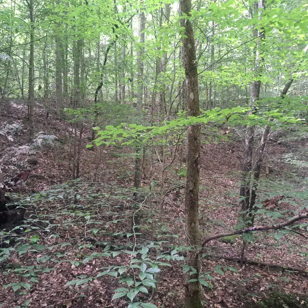 8100 Somerset Road, London, KY 40741