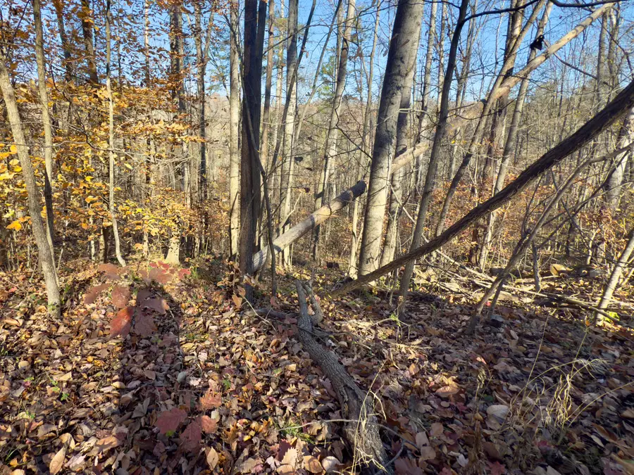 138 Shiloh Road, Somerset, KY 42501 - Image #2