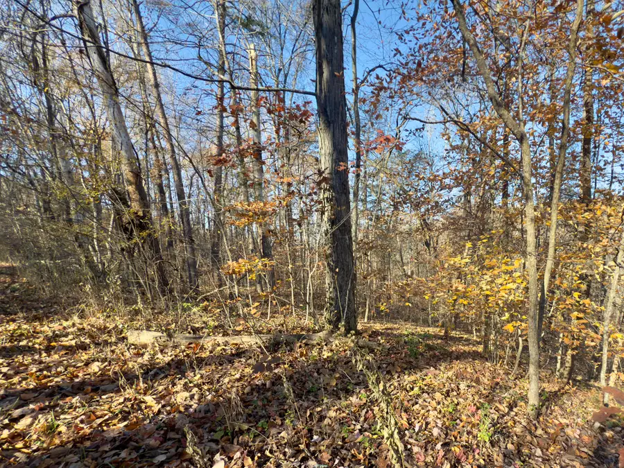 138 Shiloh Road, Somerset, KY 42501 - Image #3