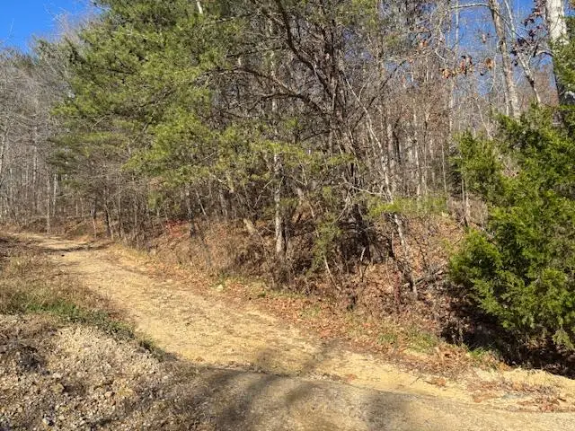 1013 Lime Plant Hollow Road, Mount Vernon, KY 40456 - Image #1