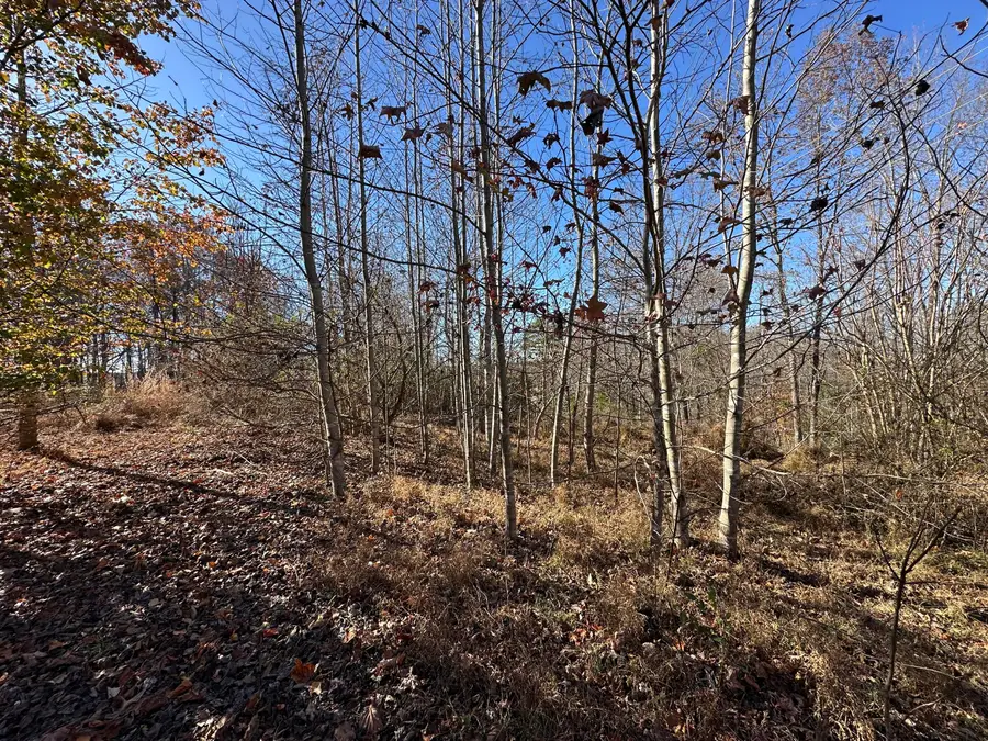 1879 Eatontown Road, Corbin, KY 40701 - Image #2