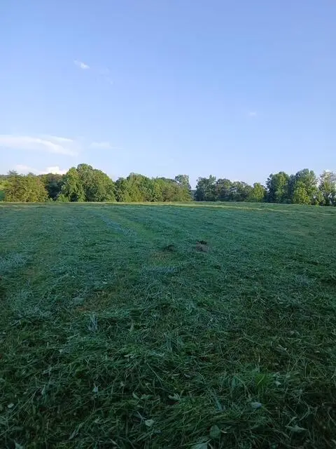 150 Waterfall Lane, Clay City, KY 40312 - Image #3