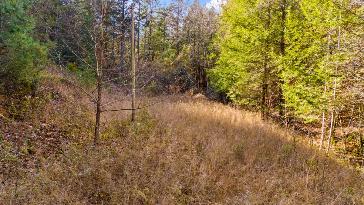 0 Mill Branch Road, Beattyville, KY 41311 - Image #1