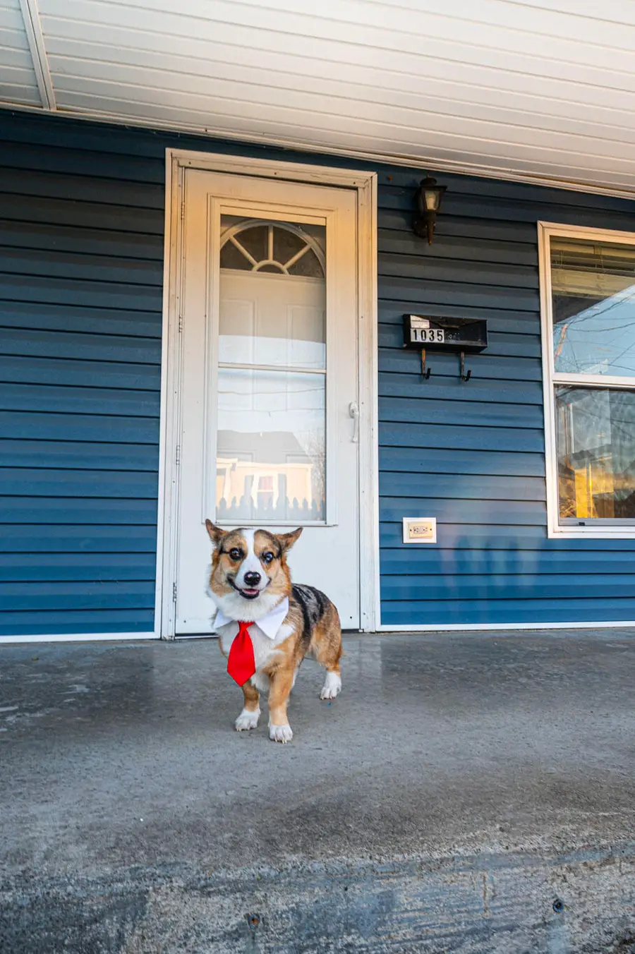 1035 E 13th Avenue, Bowling Green, KY 42104 - Image #3