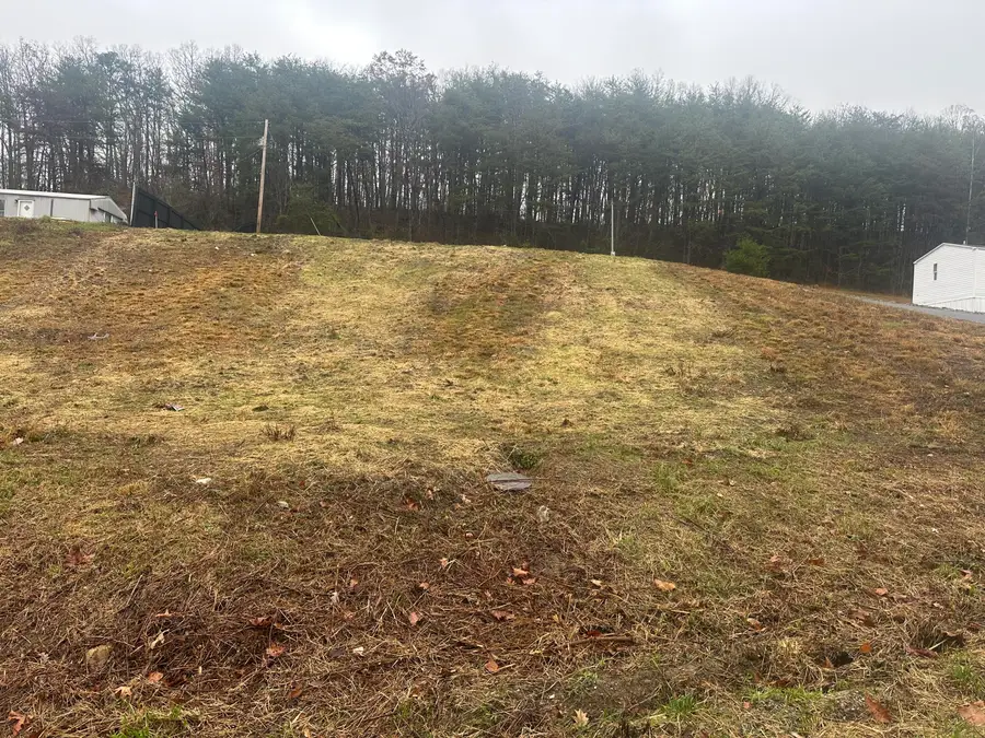 293   Lot 3 Freeman Branch Road #Lot 3, East Bernstadt, KY 40729 - Image #3