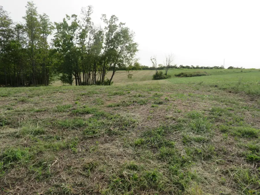 590 Craig Crossing, Winchester, KY 40391 - Image #3