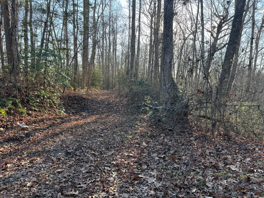 1111 Bee Creek Road, Corbin, KY 40701 - Image #2