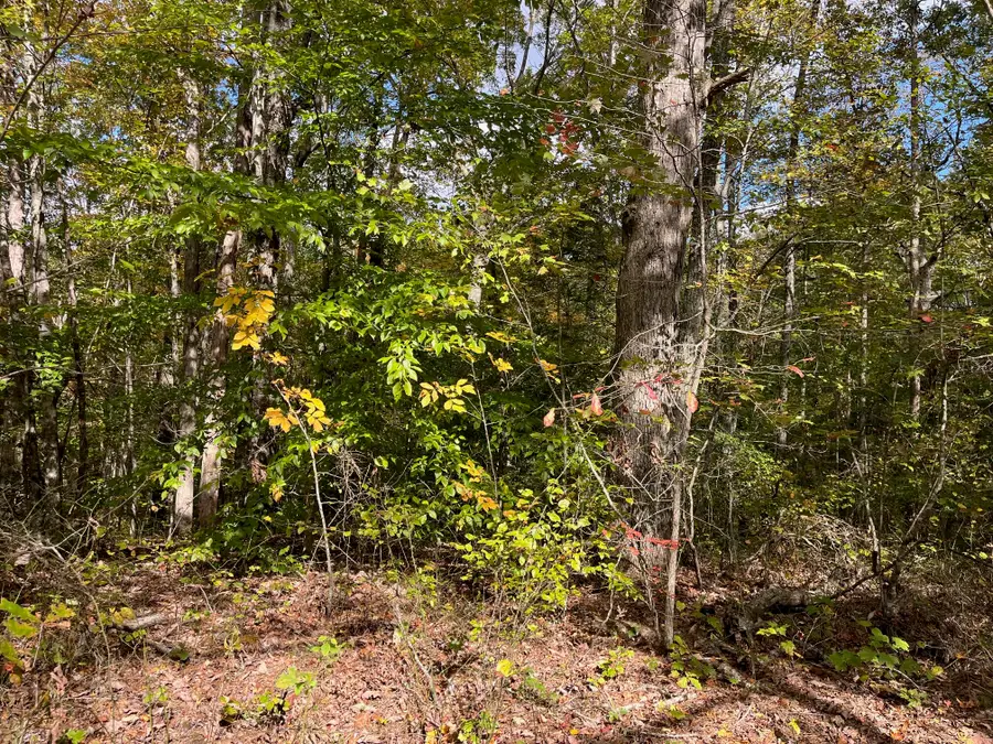 1111 Bee Creek Road, Corbin, KY 40701 - Image #3