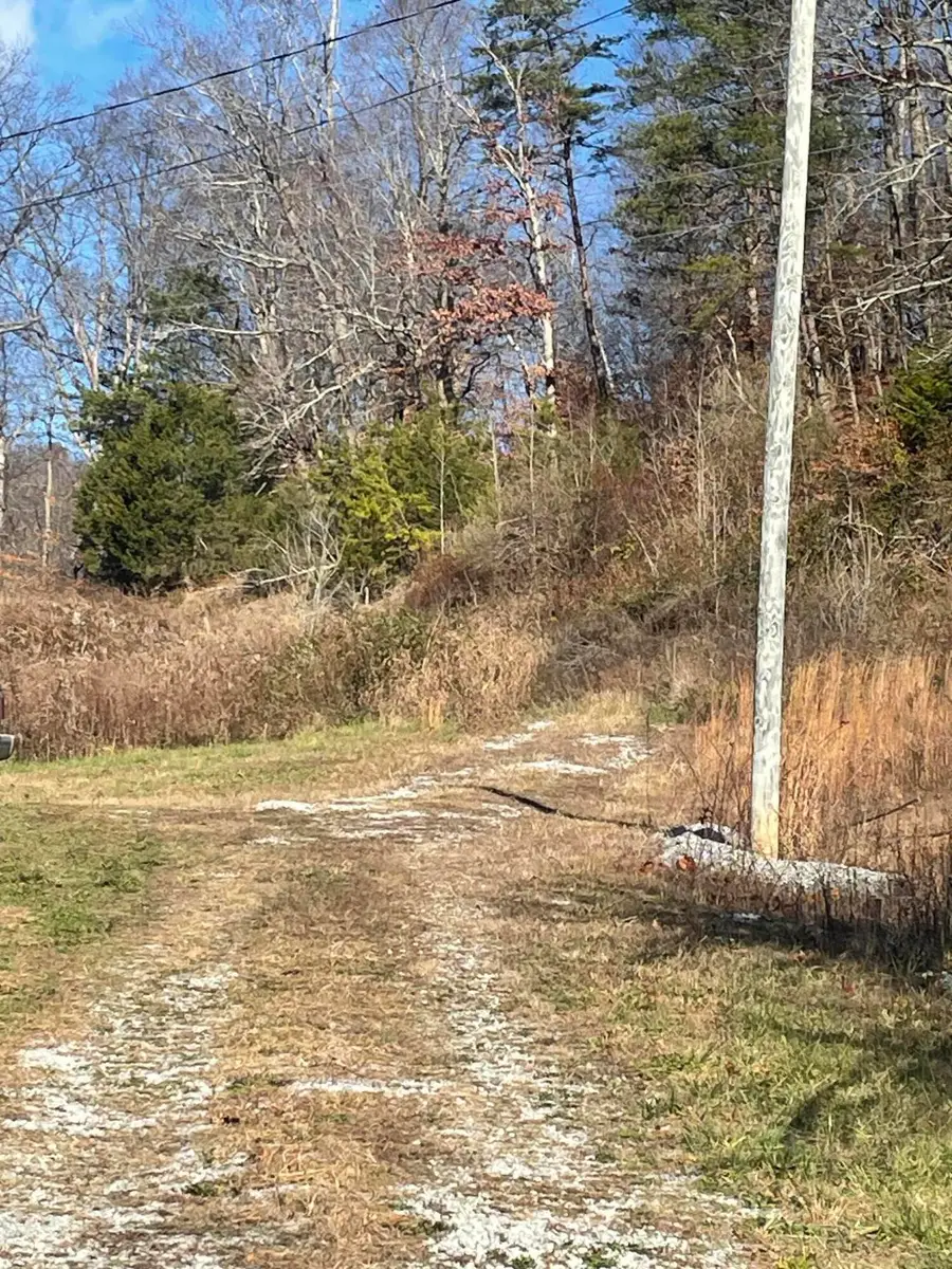 14645 Morehead Road, Wallingford, KY 41093 - Image #2