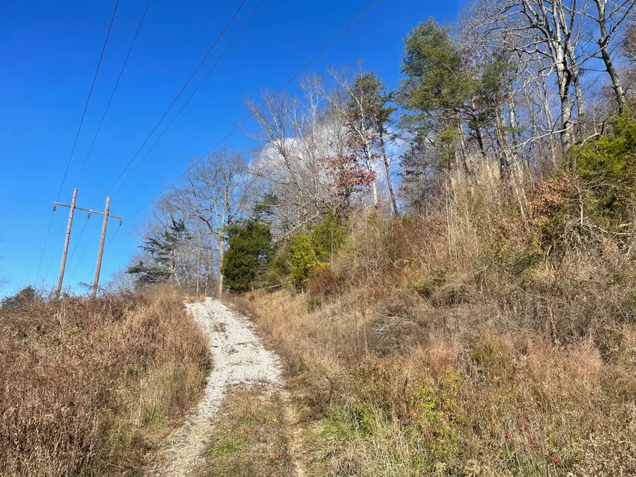 14645 Morehead Road, Wallingford, KY 41093 - Image #3