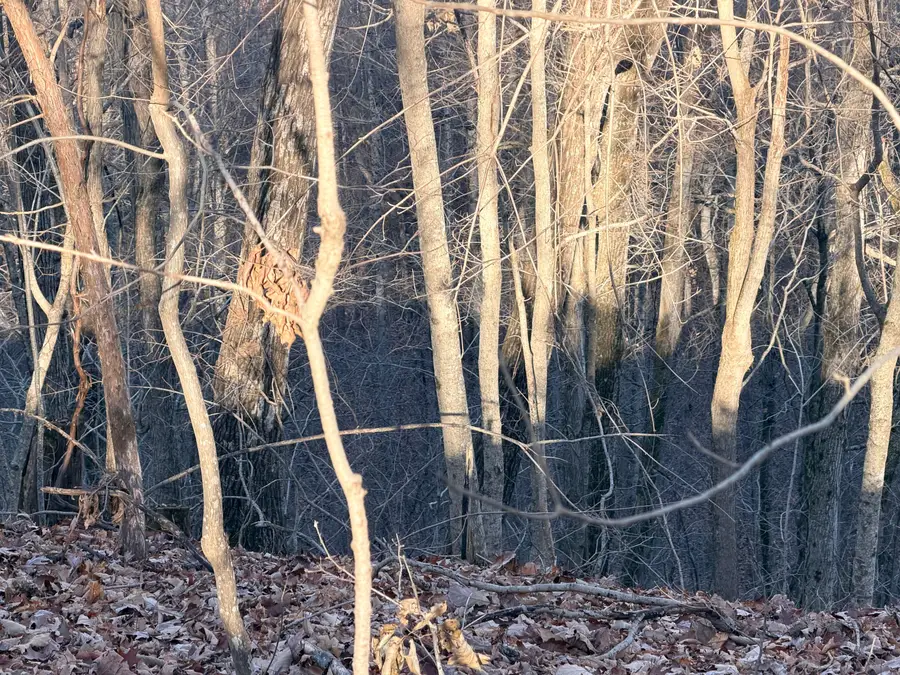 1290 Hwy 3249, Stanford, KY 40484 - Image #3