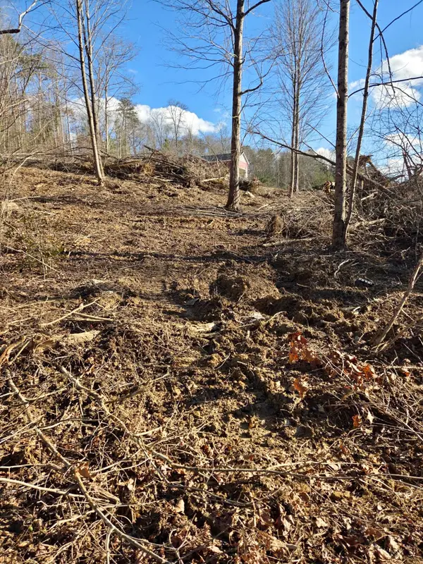 9999 Dorothy Bailey, London, KY 40744