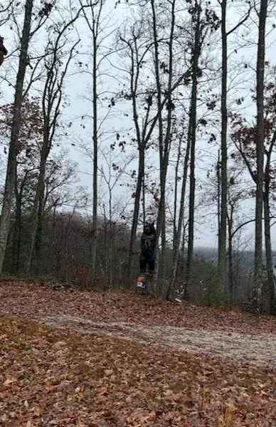 894 Heavenly Lane, Frenchburg, KY 40322