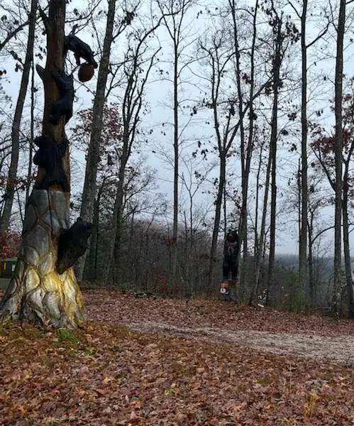 894 Heavenly Lane, Frenchburg, KY 40322 - Image #2