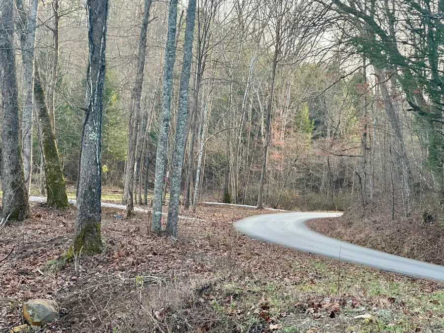 Lot 6 Hensley Road, East Bernstadt, KY 40729 - Image #3