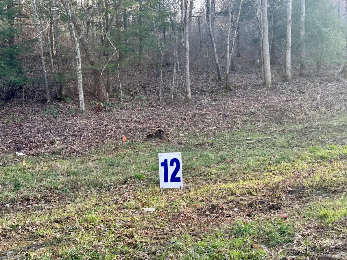 Lot 12 Hensley Road, East Bernstadt, KY 40729 - Image #1