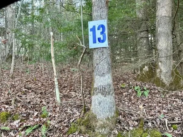 Lot 13 Hensley Road, East Bernstadt, KY 40729