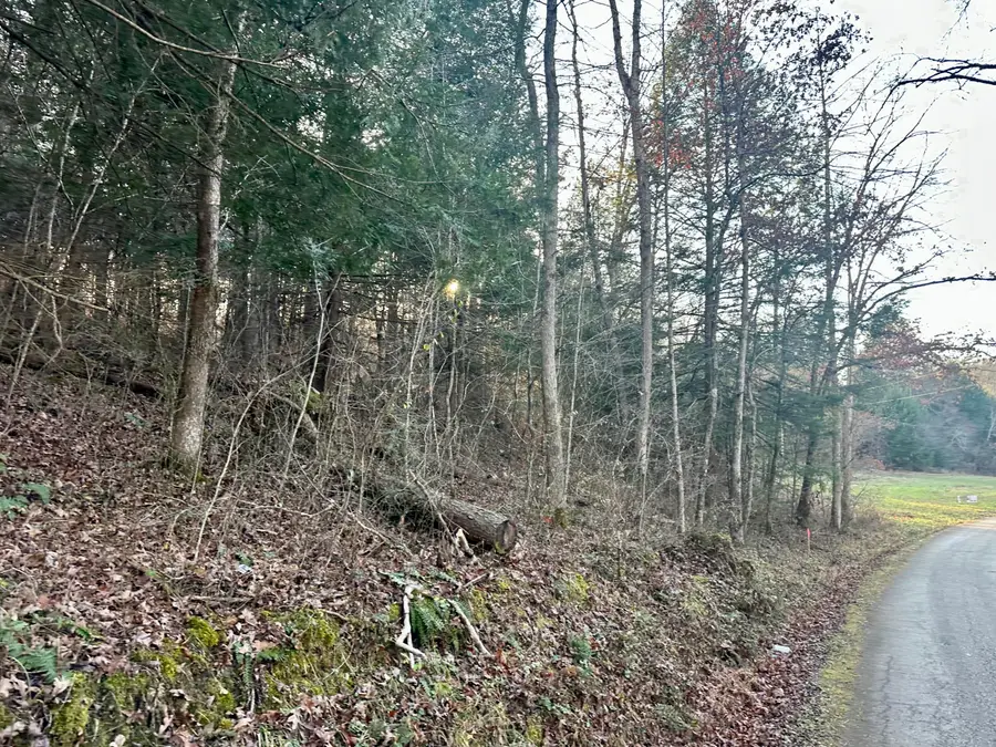 Lot 13 Hensley Road, East Bernstadt, KY 40729 - Image #2