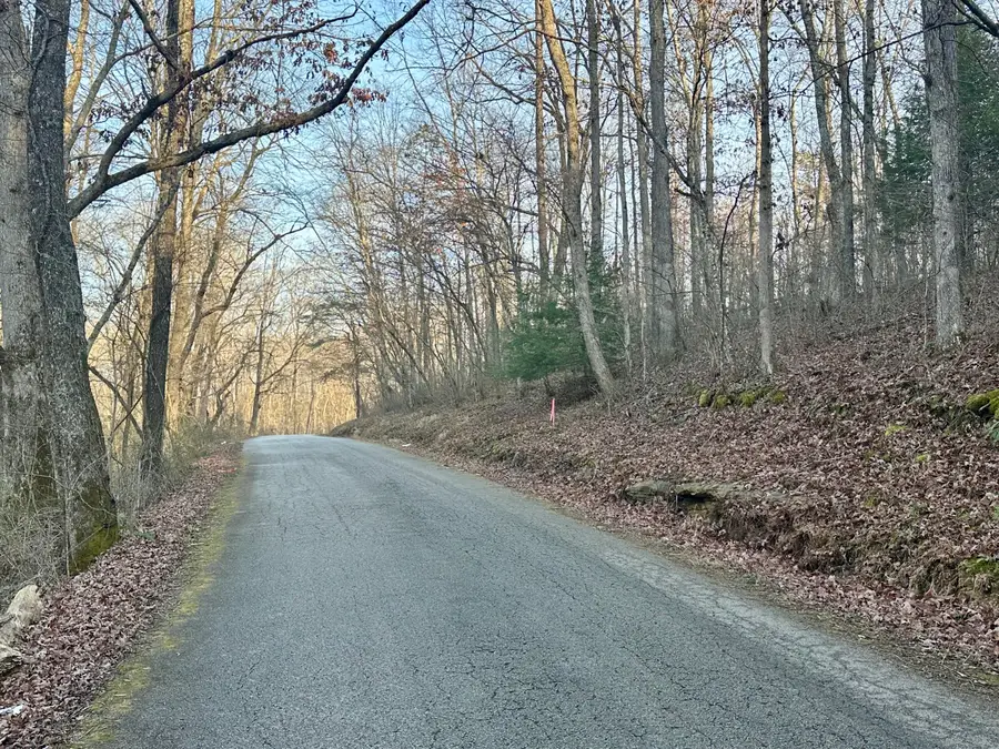 Lot 13 Hensley Road, East Bernstadt, KY 40729 - Image #3