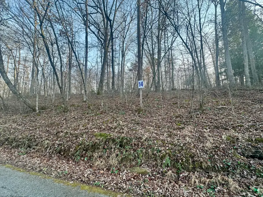 Lot 14 Hensley Road, East Bernstadt, KY 40729 - Image #2