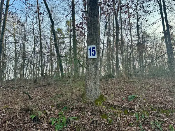 Lot 15 Hensley Road, East Bernstadt, KY 40729